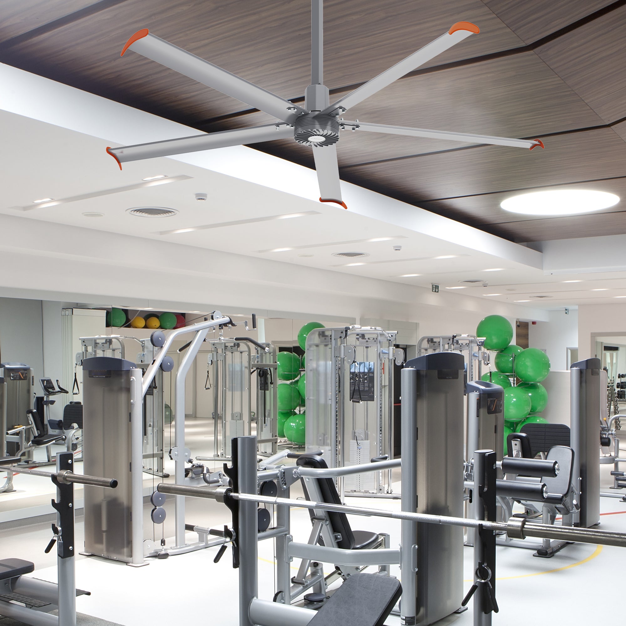 MAKANI 10ft 5-Blade 480V Industrial HVLS Fan with Wall Control - Silver