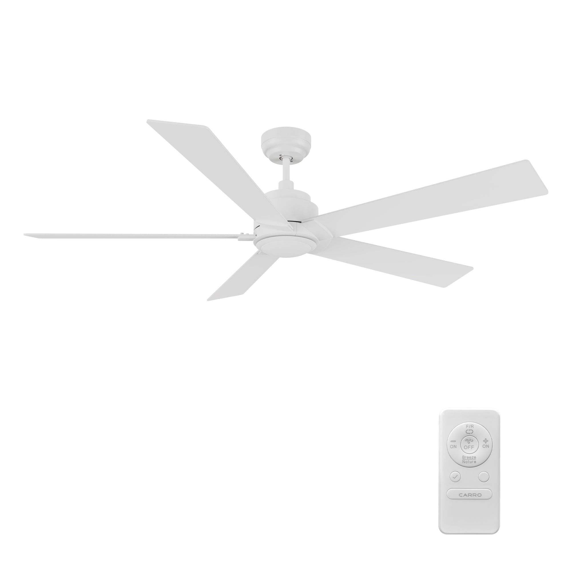 Lurgan 60 inch 5-Blade Ceiling Fan with Remote