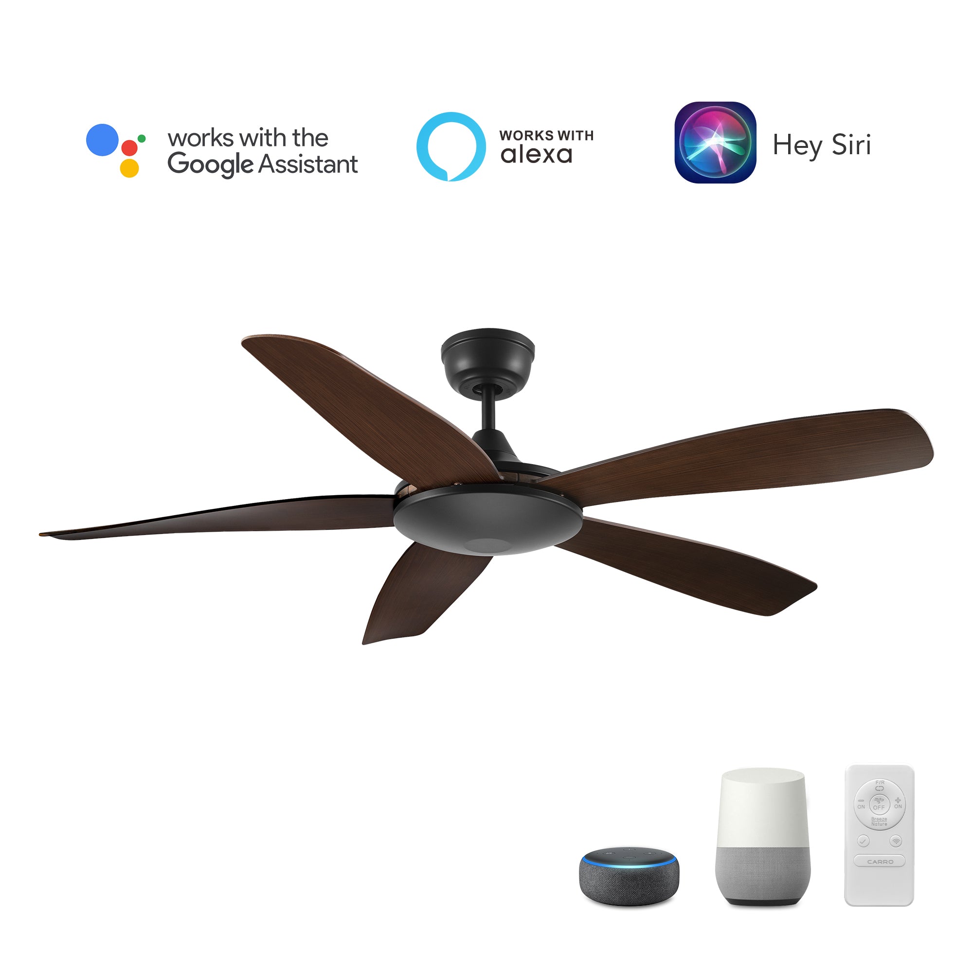 SALEM 52 inch 5-Blade Smart Ceiling Fan with Remote